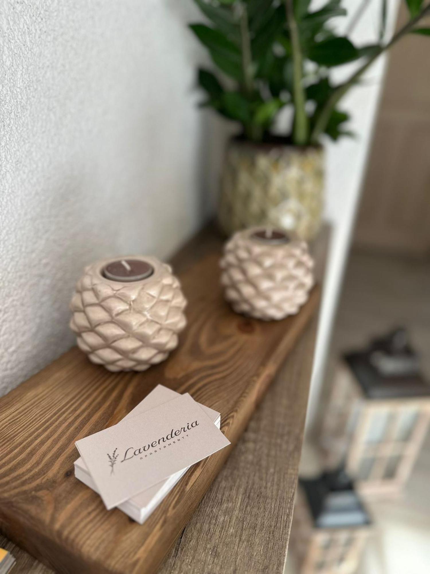 Apartamenty Lavenderia Z Widokiem Na Gore Parkowa, Blisko Centrum Kudowa-Zdrój Buitenkant foto